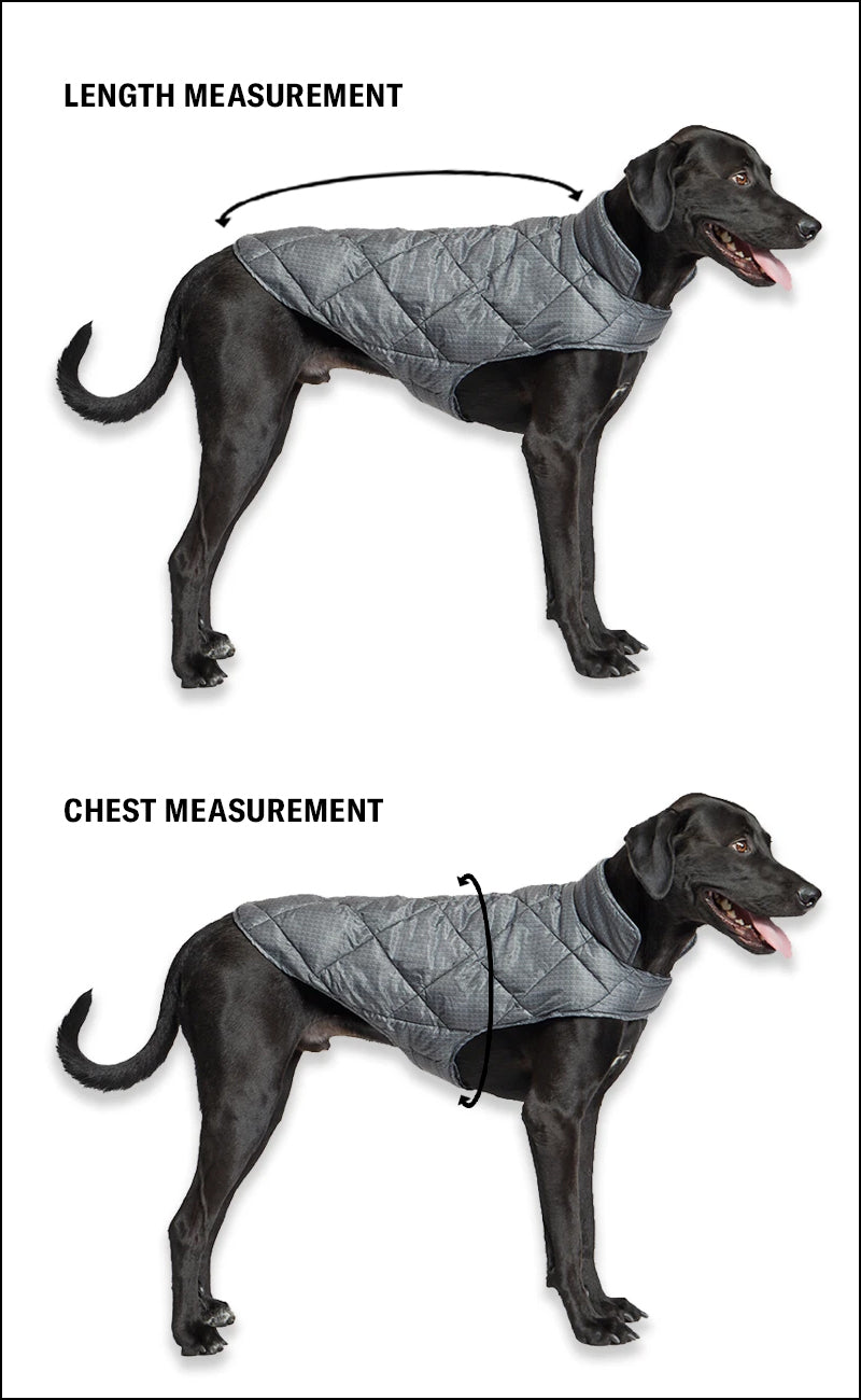 32 degrees shop heat dog jacket